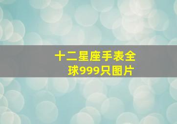 十二星座手表全球999只图片