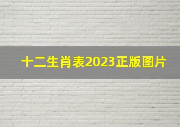 十二生肖表2023正版图片