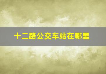 十二路公交车站在哪里