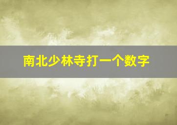 南北少林寺打一个数字