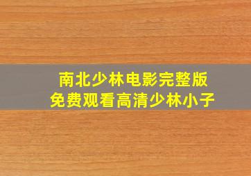 南北少林电影完整版免费观看高清少林小子