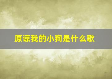 原谅我的小狗是什么歌