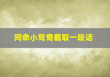 同命小鸳鸯截取一段话