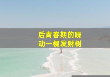 后青春期的躁动一棵发财树