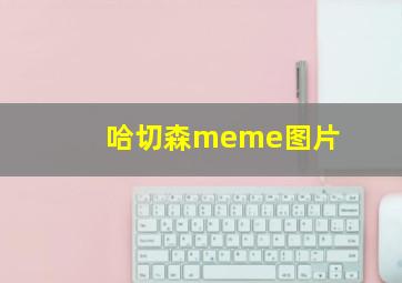 哈切森meme图片