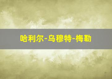 哈利尔-乌穆特-梅勒