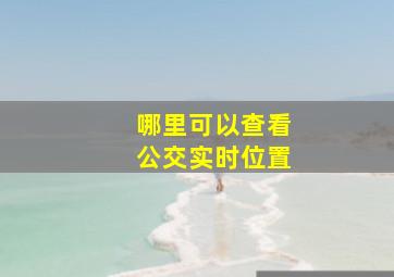 哪里可以查看公交实时位置