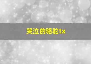 哭泣的骆驼tx