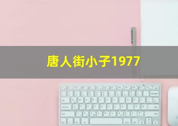 唐人街小子1977