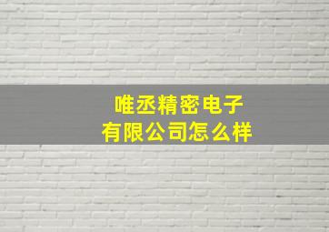 唯丞精密电子有限公司怎么样