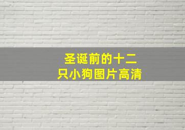 圣诞前的十二只小狗图片高清