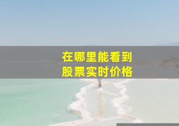 在哪里能看到股票实时价格