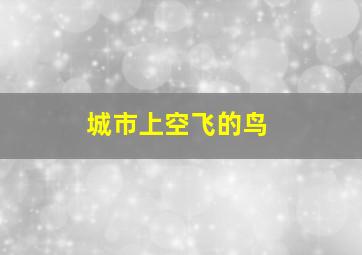 城市上空飞的鸟