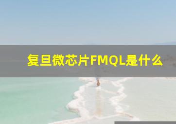 复旦微芯片FMQL是什么