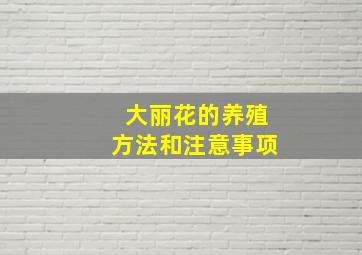 大丽花的养殖方法和注意事项