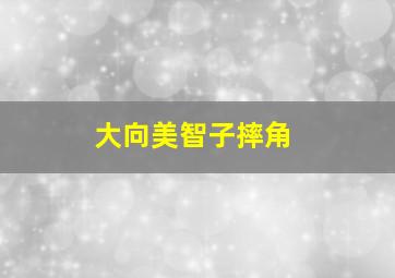 大向美智子摔角