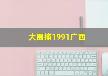 大围捕1991广西