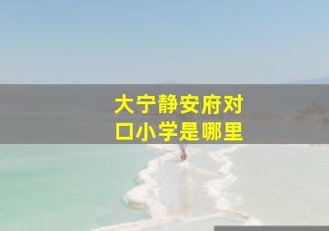 大宁静安府对口小学是哪里