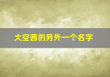 大空茜的另外一个名字