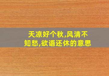 天凉好个秋,风清不知愁,欲语还休的意思