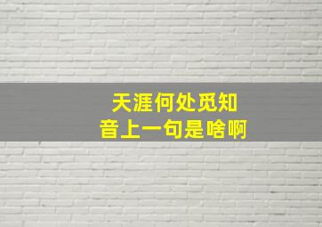 天涯何处觅知音上一句是啥啊