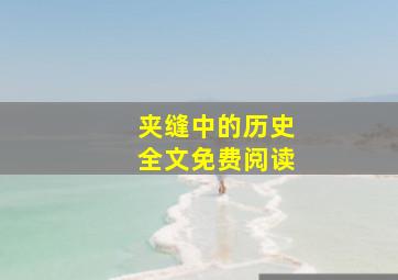 夹缝中的历史全文免费阅读