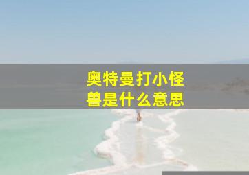 奥特曼打小怪兽是什么意思