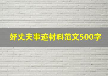 好丈夫事迹材料范文500字