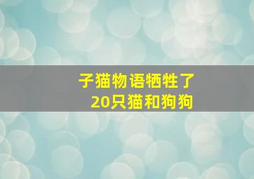 子猫物语牺牲了20只猫和狗狗