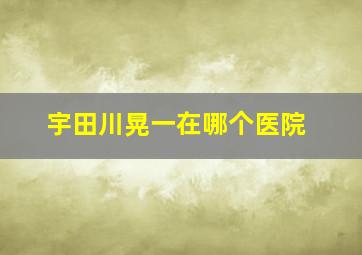 宇田川晃一在哪个医院