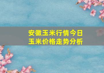 安徽玉米行情今日玉米价格走势分析