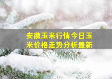 安徽玉米行情今日玉米价格走势分析最新