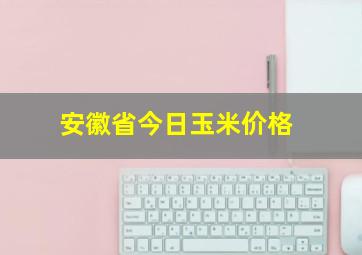 安徽省今日玉米价格