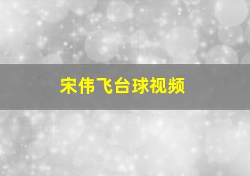 宋伟飞台球视频