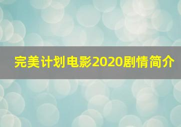 完美计划电影2020剧情简介