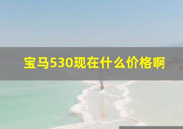 宝马530现在什么价格啊