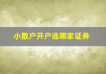 小散户开户选哪家证券