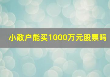 小散户能买1000万元股票吗