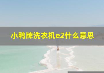 小鸭牌洗衣机e2什么意思