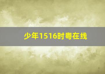 少年1516时粤在线