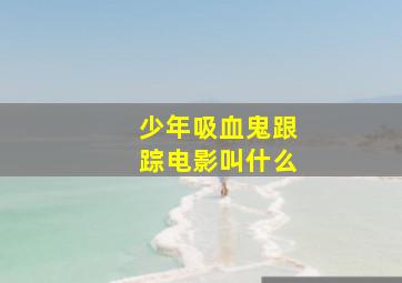 少年吸血鬼跟踪电影叫什么