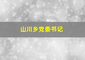 山川乡党委书记