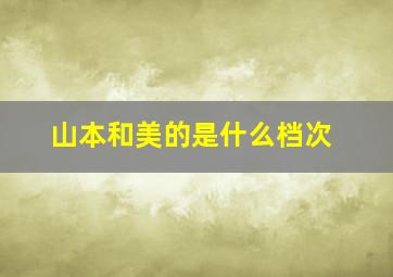 山本和美的是什么档次