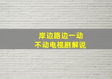 岸边路边一动不动电视剧解说