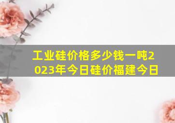 工业硅价格多少钱一吨2023年今日硅价福建今日