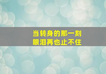 当转身的那一刻眼泪再也止不住