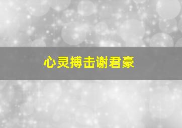 心灵搏击谢君豪