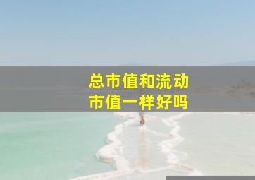 总市值和流动市值一样好吗