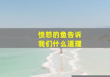 愤怒的鱼告诉我们什么道理