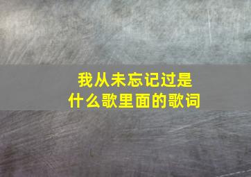 我从未忘记过是什么歌里面的歌词